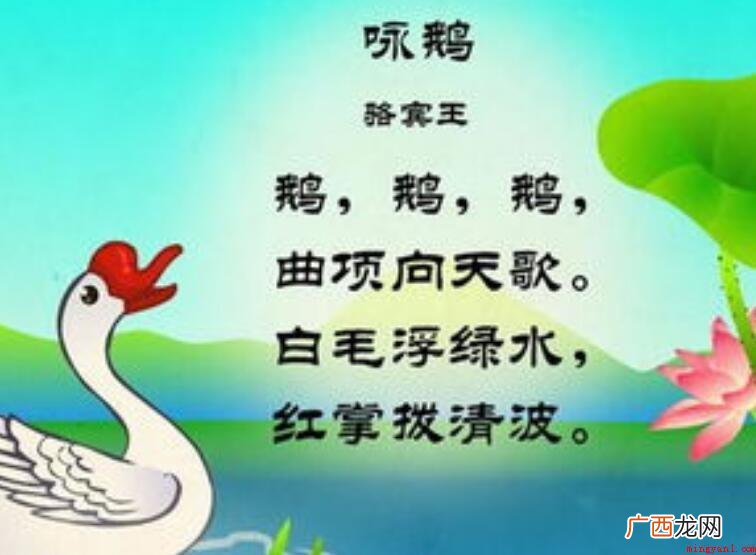 白毛浮绿水,红掌拨清波 鹅鹅鹅的古诗什么意思