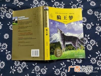 狼王梦这本书的主要内容是什么,谁有《孤岛野犬》的主要内容？拜托各位了3Q？