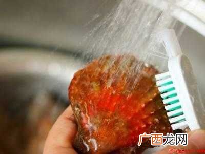 怎么吃扇贝