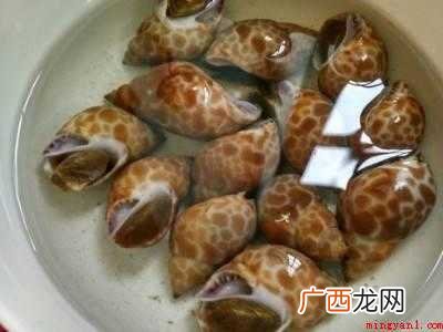 小海螺怎么做好吃