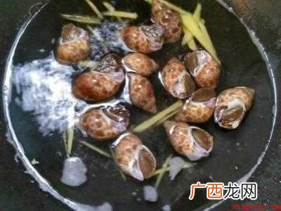 小海螺怎么做好吃