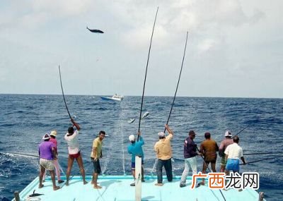 钓鱼都需要什么装备,钓鱼新手必备6件装备？