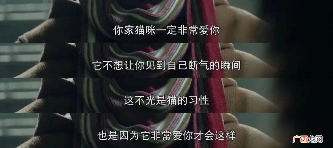 姬无命是哪一集,吕秀才姬无命对话多少集？
