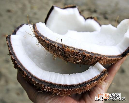 吃椰子肉会长胖吗,椰肉升糖指数？