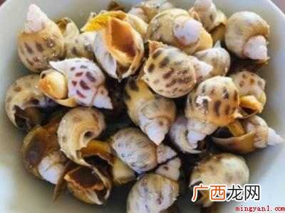 东风螺怎么吃
