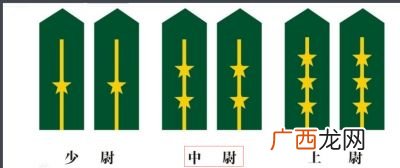 部队股长是什么级别,交警股长是属于科级长吗？