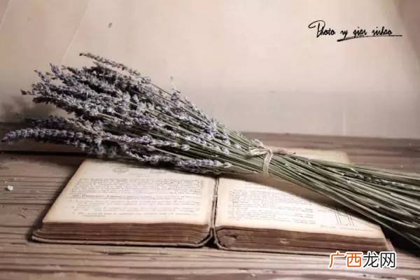 如何让干花保持更久,干花恢复鲜艳的办法？