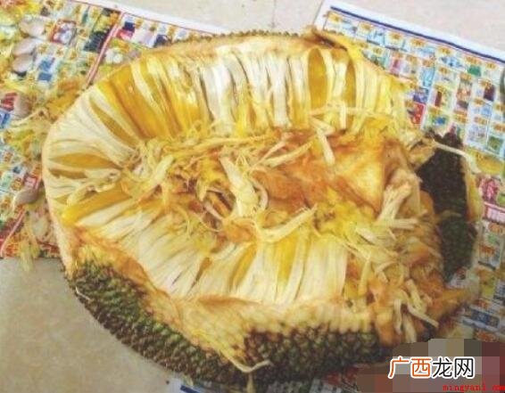 菠萝蜜怎么剥?_宠物频道 菠萝蜜怎么剥