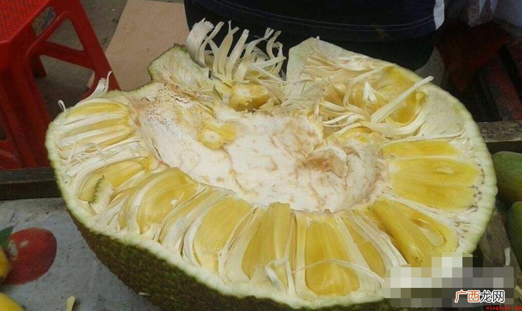 菠萝蜜怎么剥?_宠物频道 菠萝蜜怎么剥