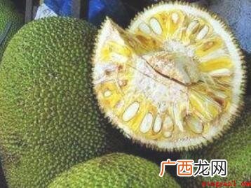 菠萝蜜怎么剥?_宠物频道 菠萝蜜怎么剥