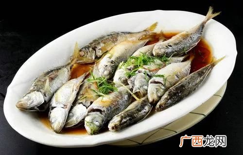 巴浪鱼又叫什么鱼,波浪鱼和巴浪鱼的区别？
