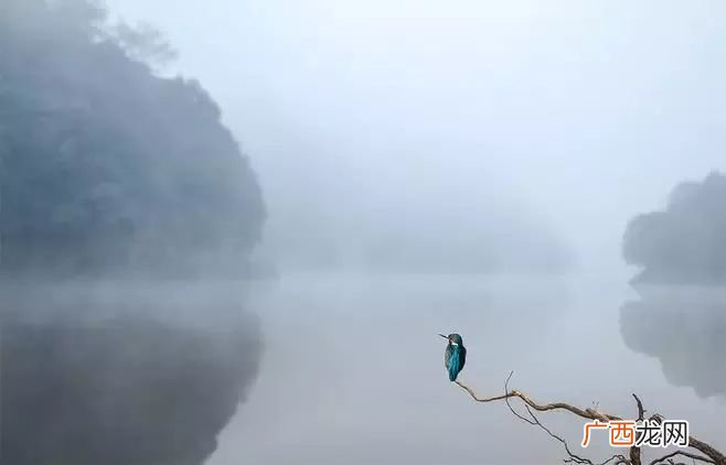 什么是心宽,心宽似海是什么意思？