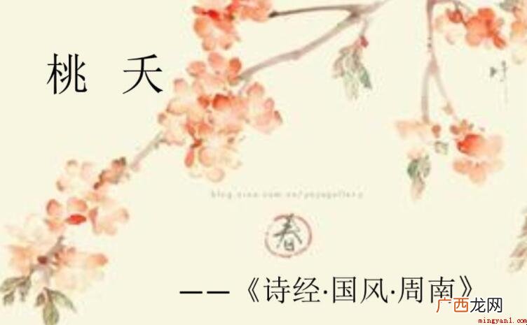 《周南·桃夭》的翻译是什么