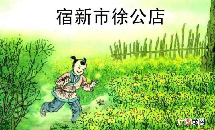 宿新市徐公店二首的翻译是什么 《宿新市徐公店二首》的翻译是什么
