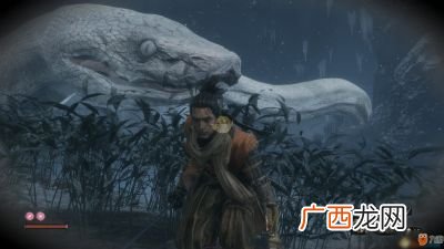 只狼白蛇怎么通过,只狼被白蛇吞了怎么走？