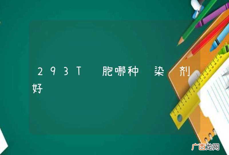 293T细胞哪种转染试剂好