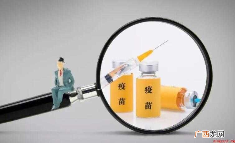三价流感疫苗的区别是什么 三价流感疫苗和四价流感疫苗的区别是什么