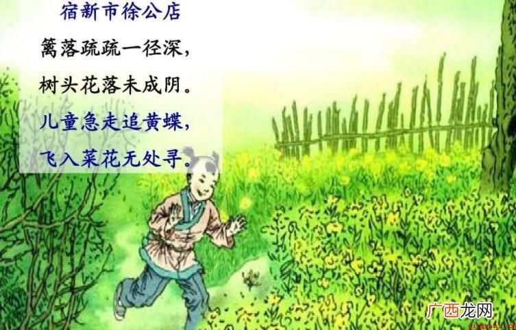 《宿新市徐公店》描写的是什么季节