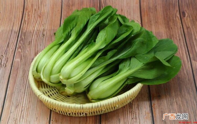 上海青和油菜的区别是啥 上海青和油菜的区别是什么