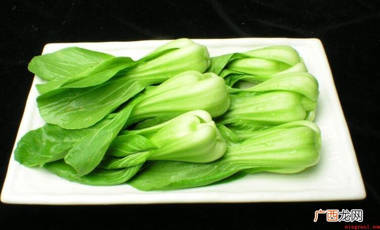 上海青是什么菜_健康频道 上海青是什么菜