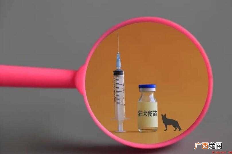 什么情况下要打狂犬疫苗
