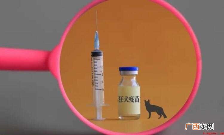如何检测狂犬疫苗抗体