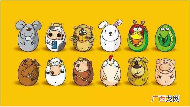 小肖有哪几个生肖