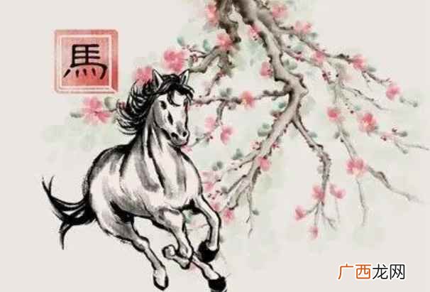 02年出生的2022年多大