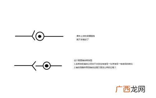 突触的结构类型,突触的定义是什么?电镜下的分类及结构？