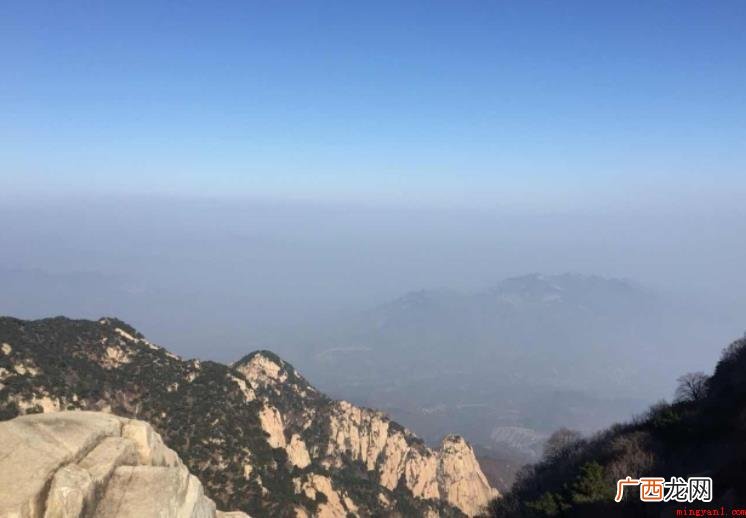 老泰山是什么意思_宠物频道 老泰山是什么意思