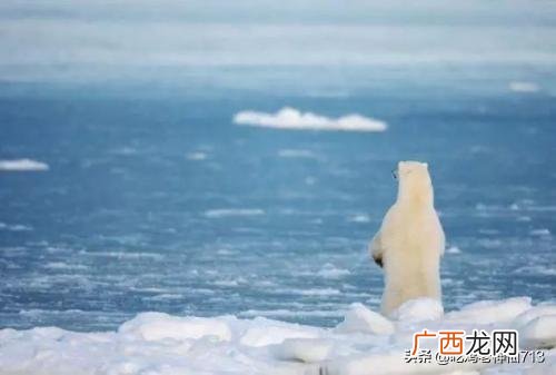 全球气候为什么会变暖,造成气候变暖的主要原因是人类生产活动中排放大量什么？