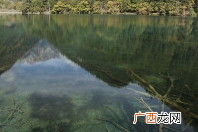 形容花很美该用什么成语来表达,什么的花儿填空词语？