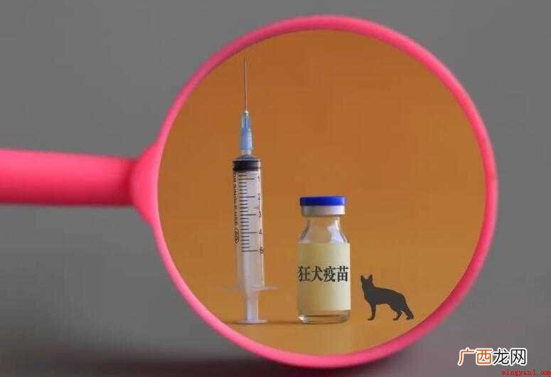人用精制VERO细胞狂犬病疫苗及精制地鼠 打狂犬疫苗发烧多久