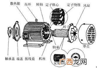 三相电动机工作原理,三相电动机的工作原理是什么？