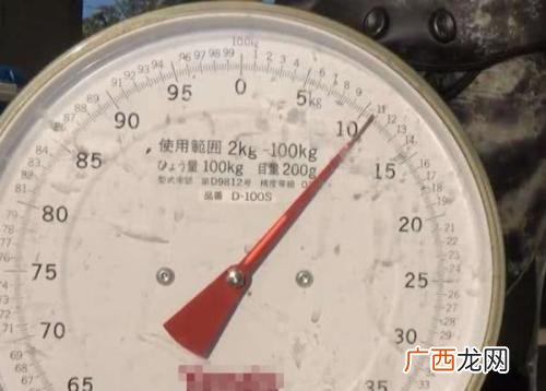 200斤等于多少公斤,电梯的重量是多少？