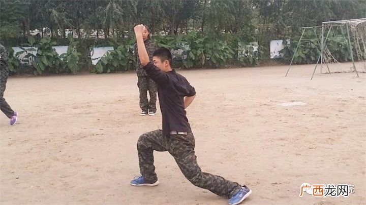 少林拳有几种,山东有什么武术流派？
