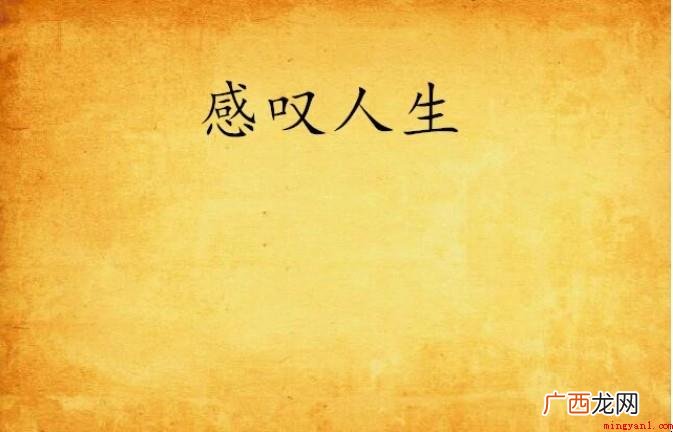 感悟人生经典诗句有什么 关于感悟人生的经典诗句有哪些