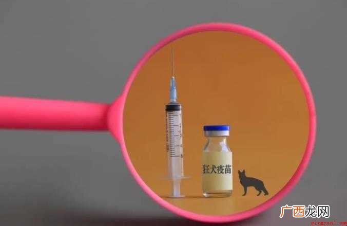 狂犬疫苗怎么打