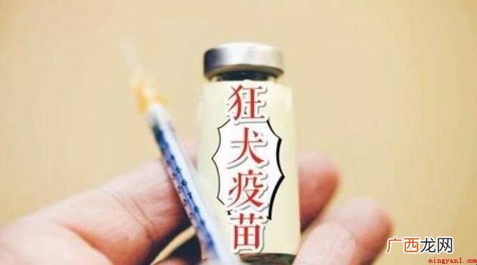 打完狂犬疫苗可以吃牛肉吗