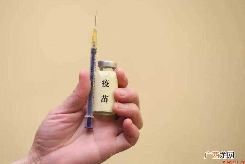大人可接种的疫苗有哪些