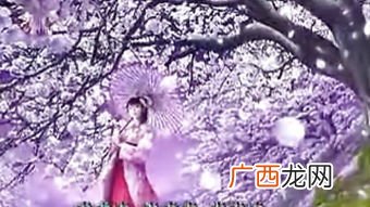 樱花草视频在线观看免费高清无需安装看电视剧和电影