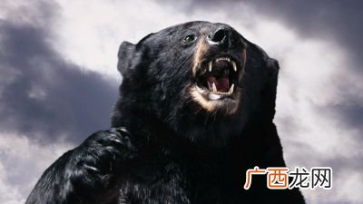 熊瞎子是什么电视剧,于谦被熊瞎子段子叫什么？