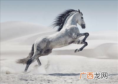 诡辩论的例子故事两则,相对主义诡辩论举例？