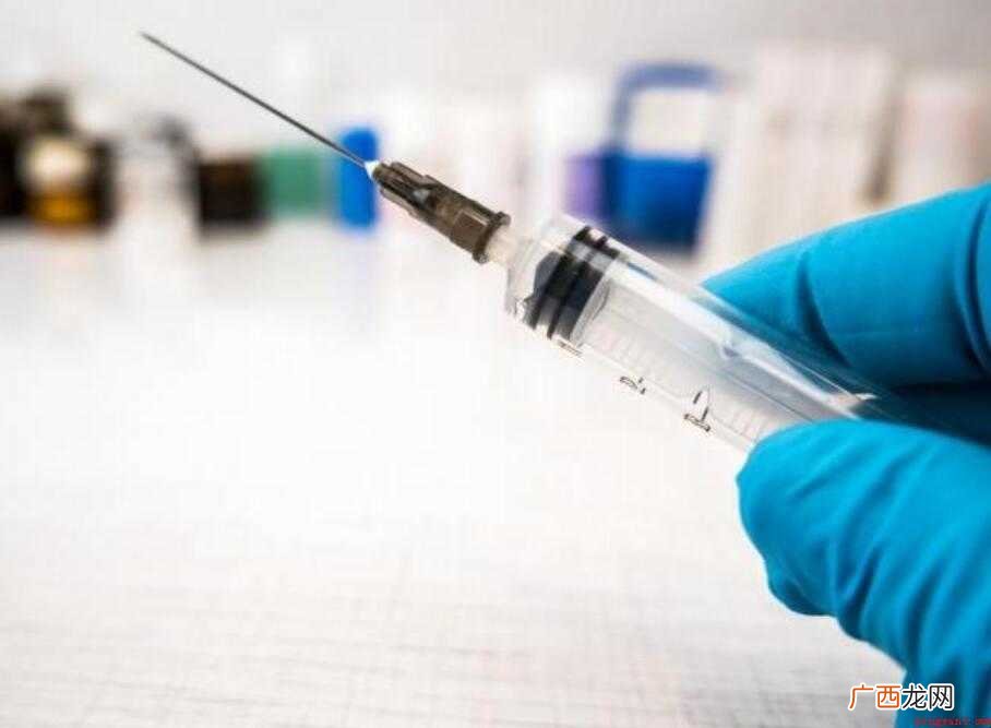 比熊接种疫苗多少钱