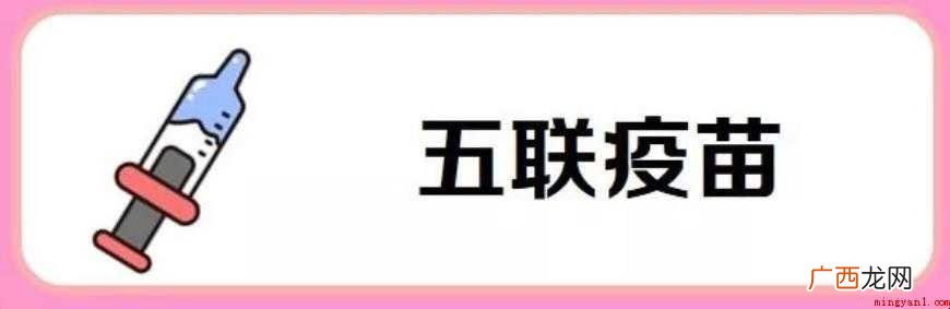 打五联疫苗前有哪些注意事项