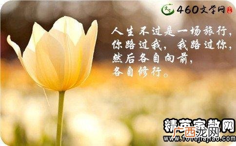 描写小溪的优美句子,写溪水静的句子？