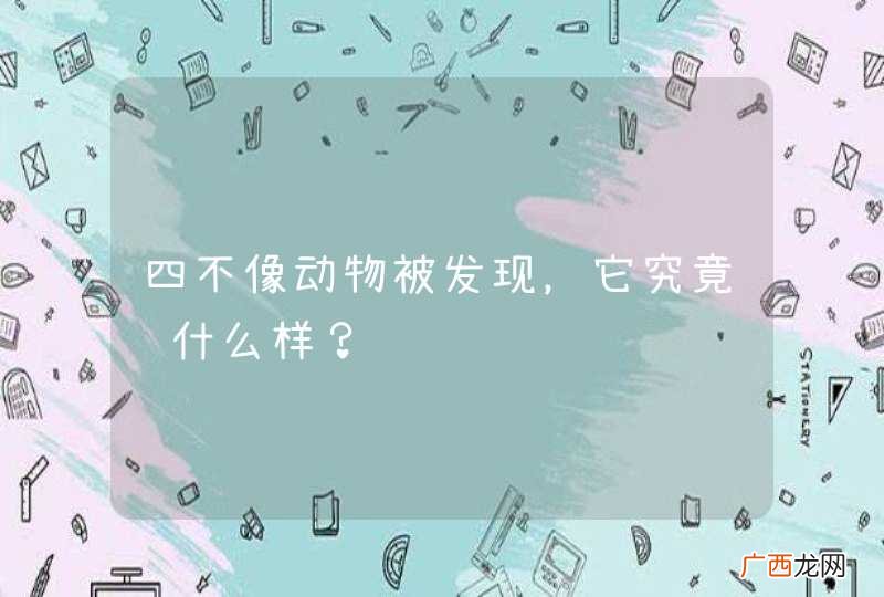 四不像动物被发现，它究竟长什么样？