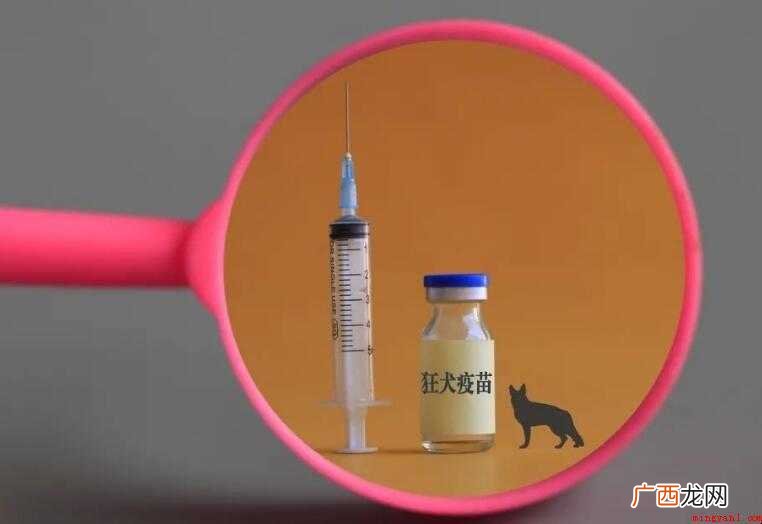 打完狂犬疫苗恶心头晕正常吗
