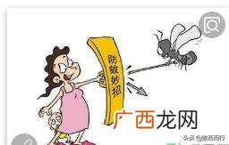 如何防蚊子,蚊子多怎么办，有何妙招？