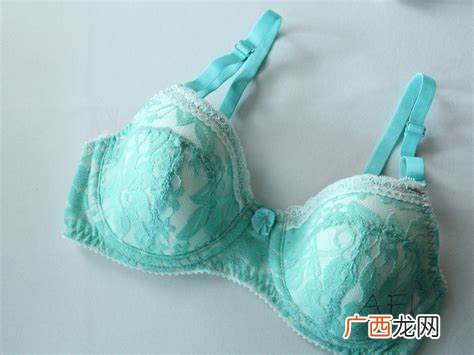 bra什么意思,bra是什么意思？